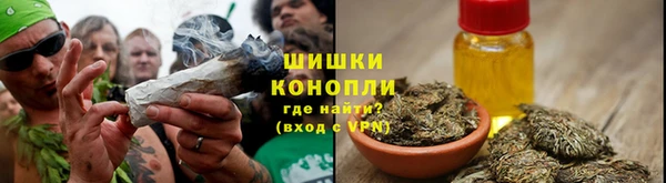 винт Магас