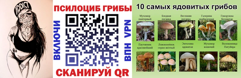 Купить закладки  Звенигово  Галлюциногенные грибы прущие грибы 