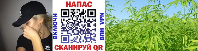 Конопля Ganja  Купить где  Звенигово 